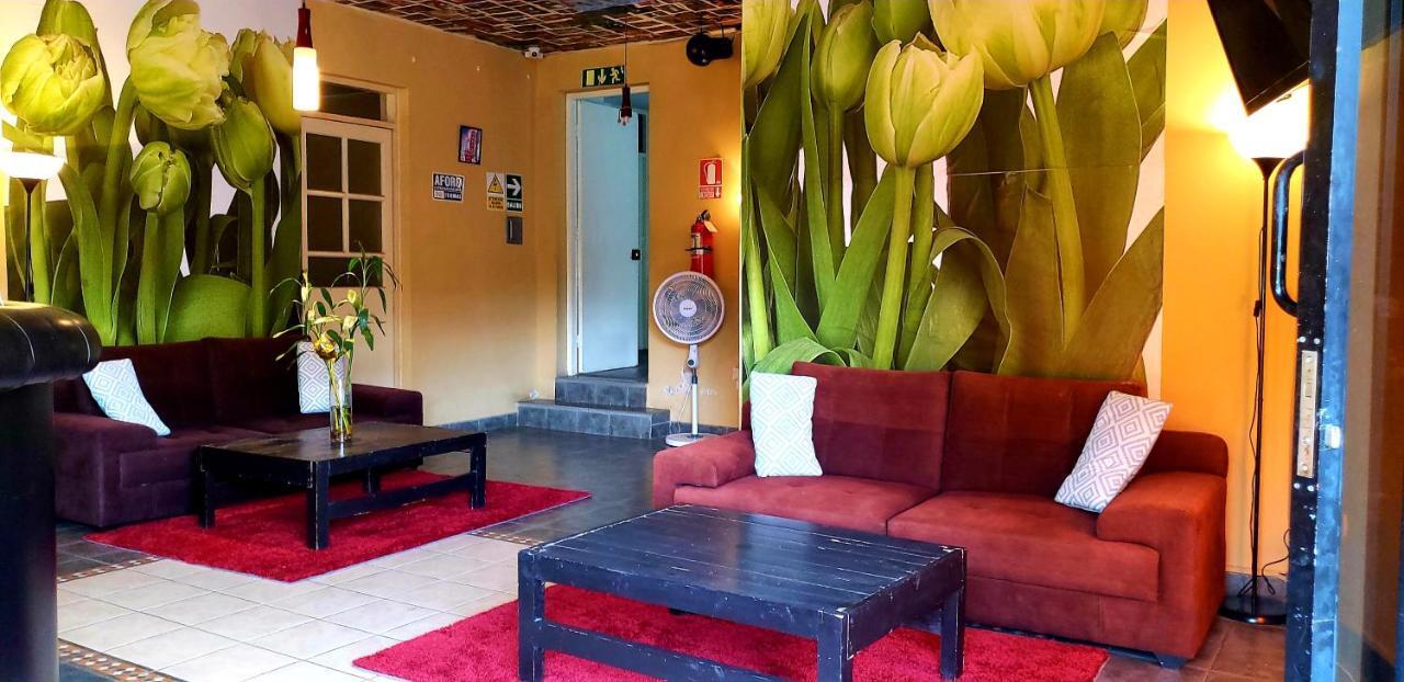 Hotel Ollanta Ica Exteriör bild